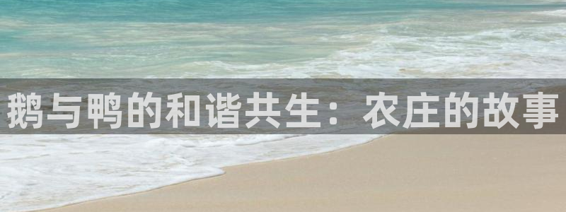 娱乐从琳琅榜开始：鹅与鸭的和谐共生：农庄的故事
