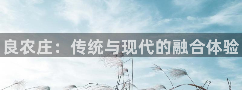 琳琅娱乐工作室
