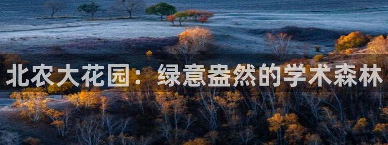 娱乐 从琳琅榜开始