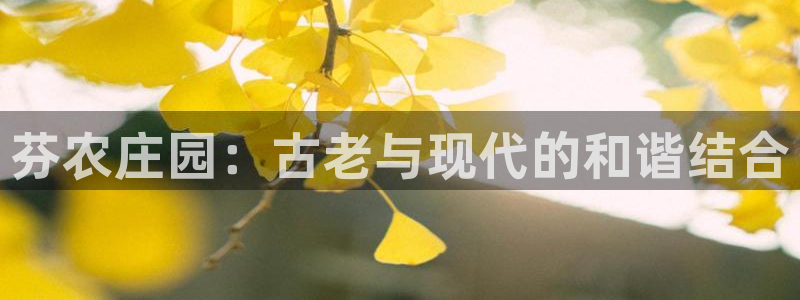 琳琅娱乐主管
