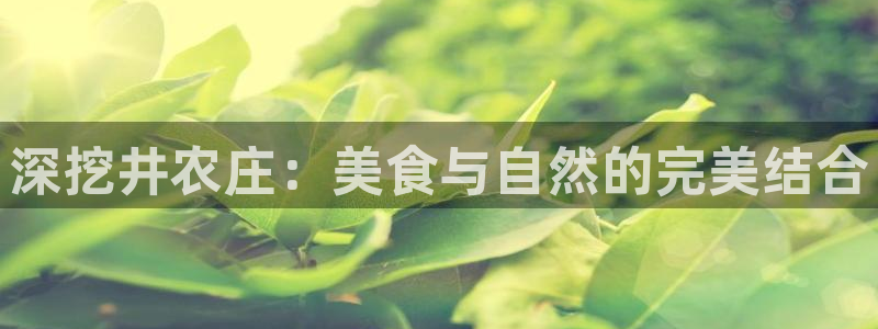 琳琅娱乐信誉33300