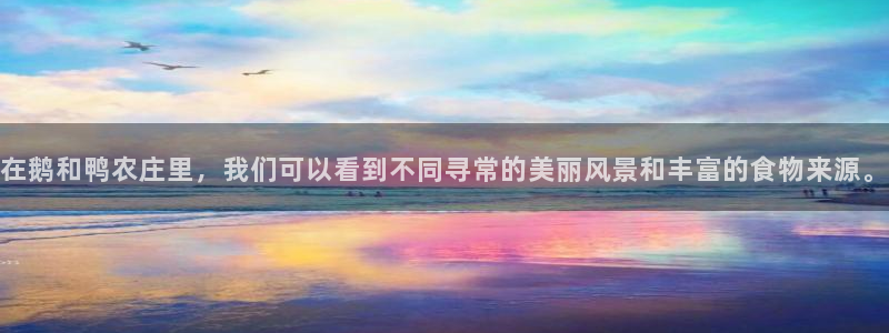 qq飞车琳琅娱乐组