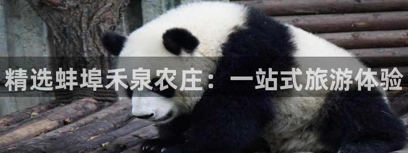 琳琅娱乐网
