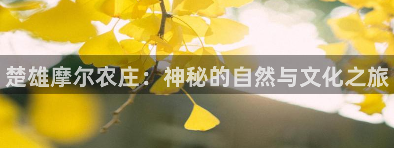 琳琅娱乐工作室招聘