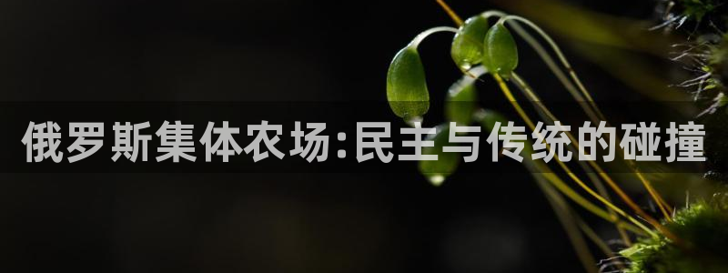 琳琅娱乐代理怎么做的