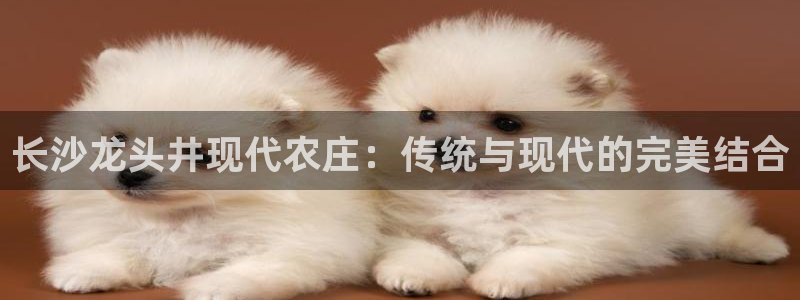琳琅娱乐组飞车