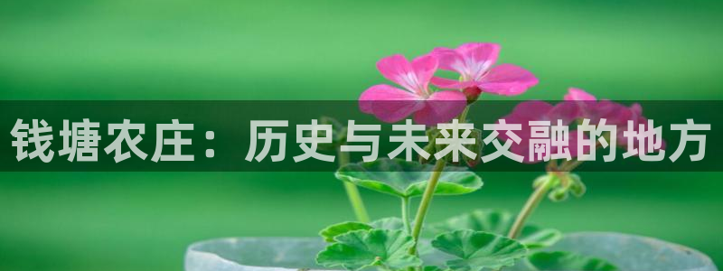 琳琅国际娱乐会所电话