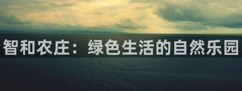 娱乐从琳琅榜开始的小说