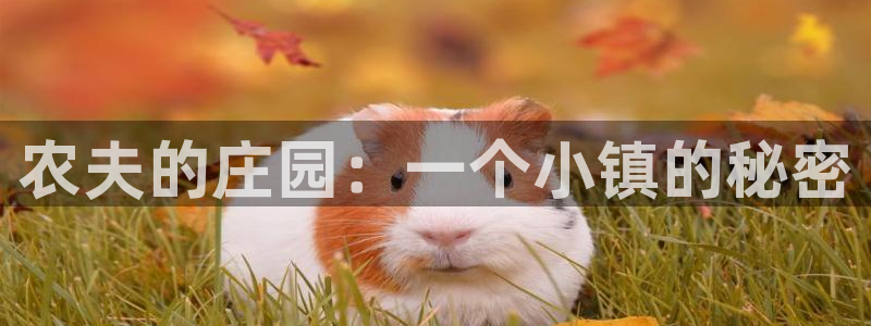 琳琅娱乐注册咋7O777