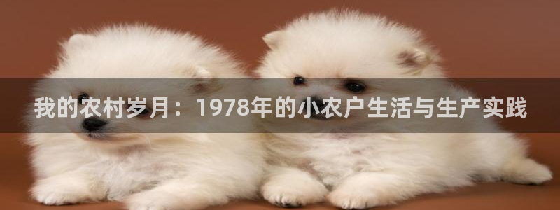 琳琅娱乐登入官网