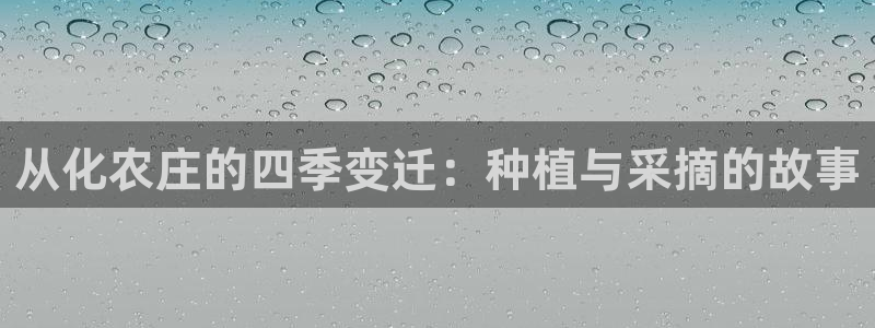 琳琅娱乐平台
