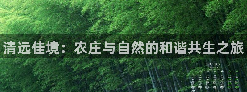琳琅娱乐平台怎么样知乎