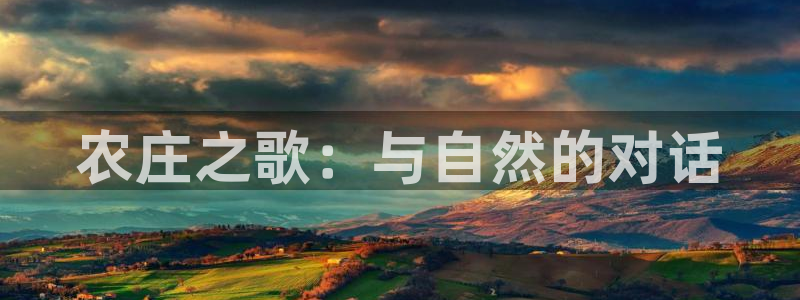 琳琅满目的娱乐设施