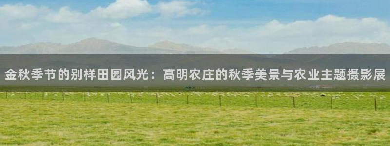 琳琅娱乐平台注册