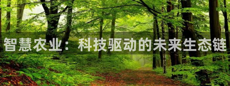 琳琅娱乐温柔乡网站