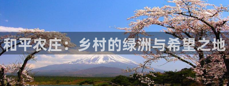 琳琅娱乐招商注册