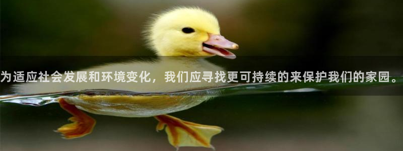 祖龙娱乐官网爱在琳琅