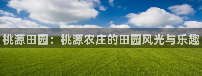 琳琅娱乐注册资金多少钱