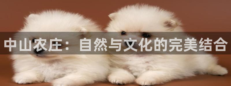 琳琅娱乐工作室地址查询