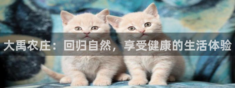 琳琅谈娱乐