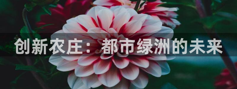 琳琅娱乐注册登录不了