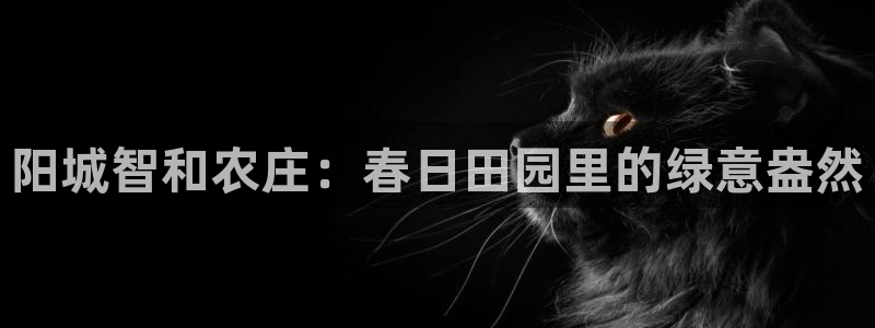 琳琅娱乐注册登录不了