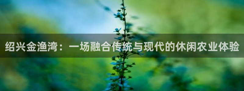琳琅娱乐在哪直播的