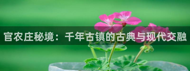 琳琅国际娱乐会所