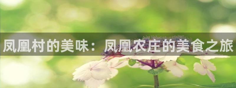 琳琅社区文艺娱乐