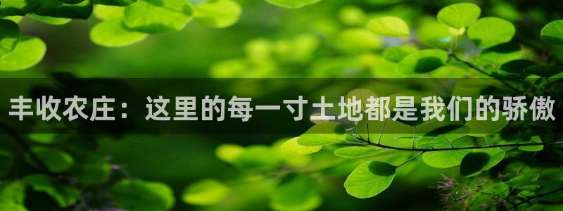 琳琅科技娱乐