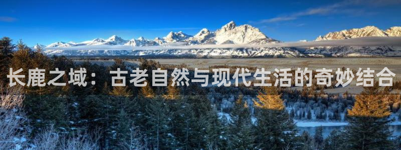 琳琅娱乐在线观看