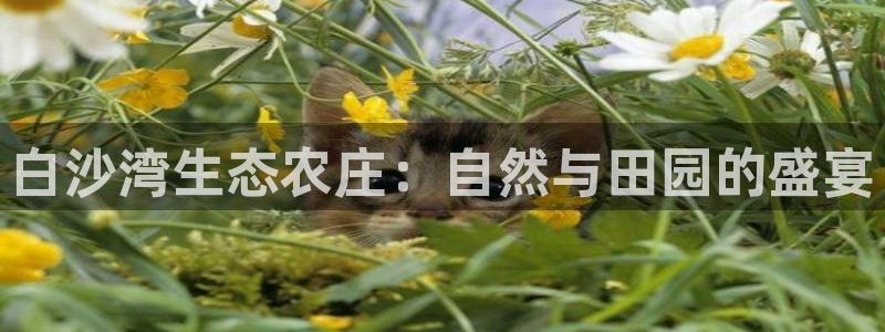 琳琅科技娱乐qq机器人词库