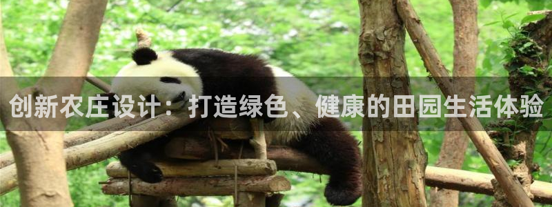 琳琅国际娱乐会所怎么样