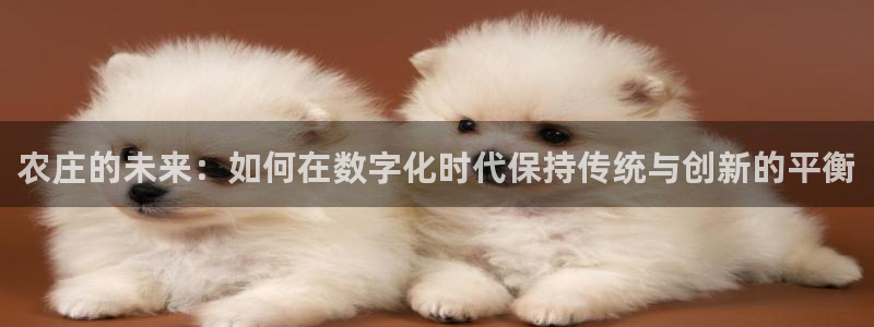 琳琅娱乐周7O777