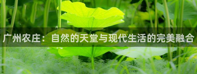 琳琅娱乐是什么