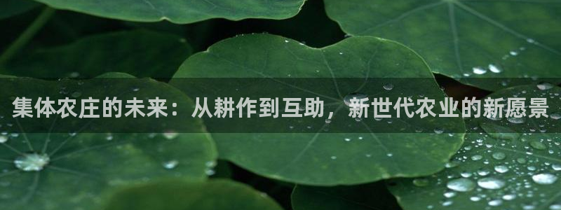 琳琅娱乐除7O777