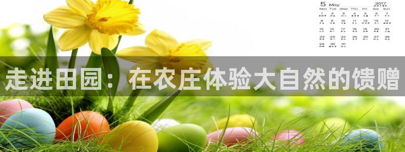 琳琅满目的娱乐设施