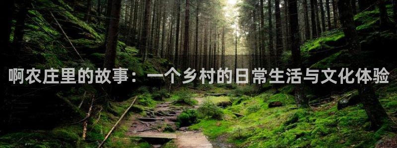 琳琅娱乐前7O777