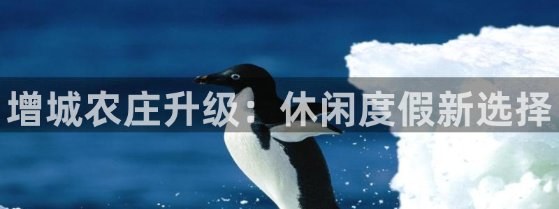 琳琅娱乐代理怎么做的