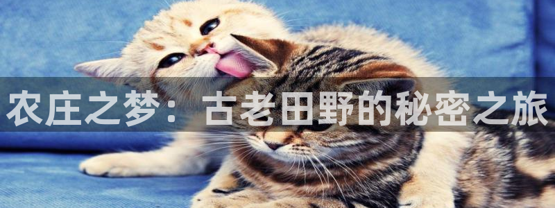 琳琅娱乐代理怎么样