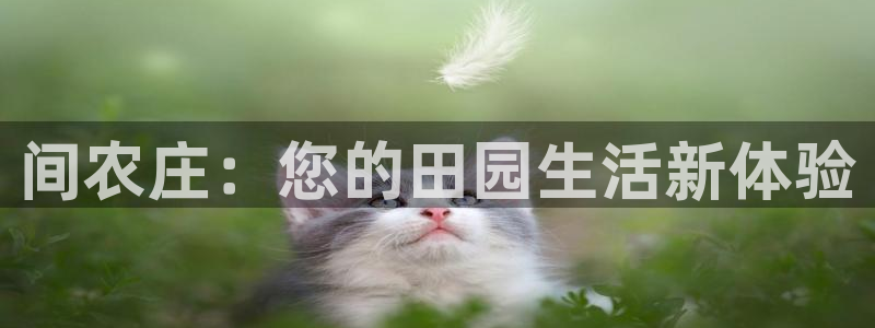 琳琅娱乐社区宅男