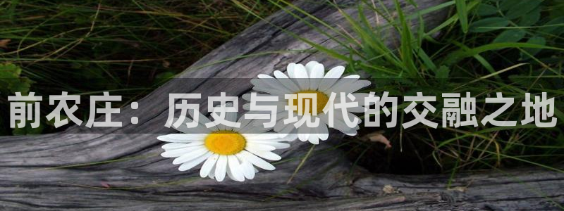 琳琅娱乐在线观看