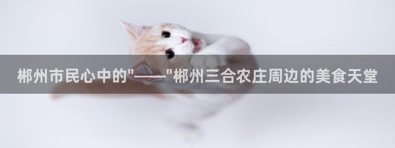 琳琅娱乐工作室怎么样