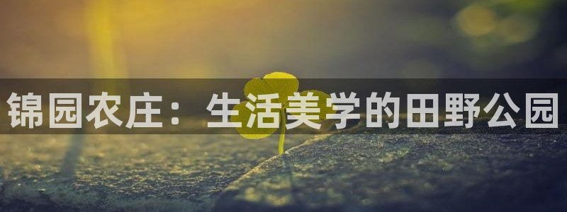 琳琅社区文艺娱乐