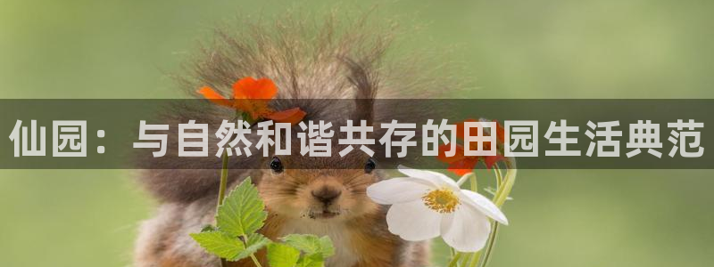 琳琅娱乐工作室招聘电话