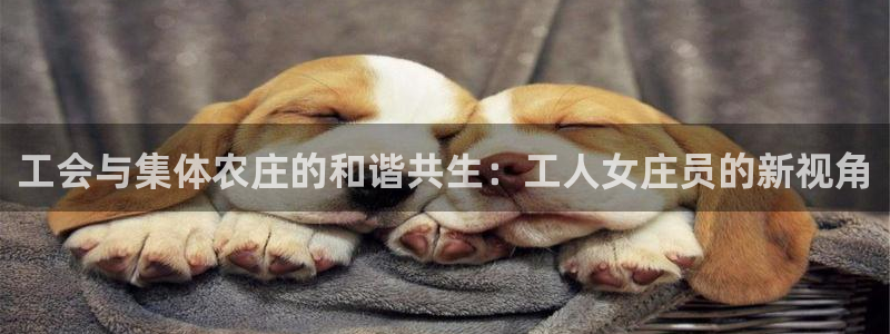 琳琅娱乐工作室地址查询
