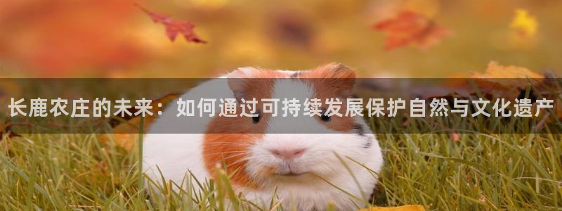 琳琅娱乐装7O777