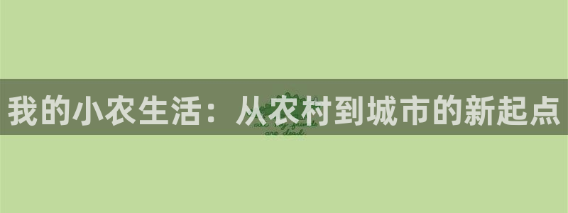 琳琅娱乐平台怎么样