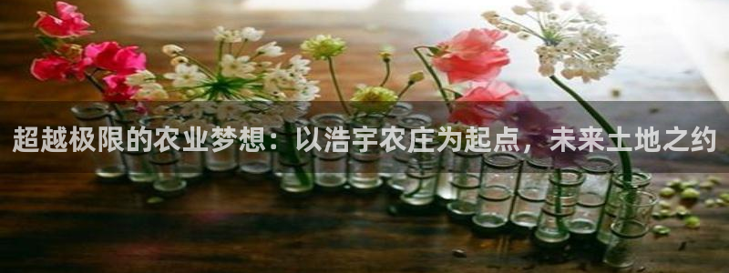 杭州琳琅互动娱乐