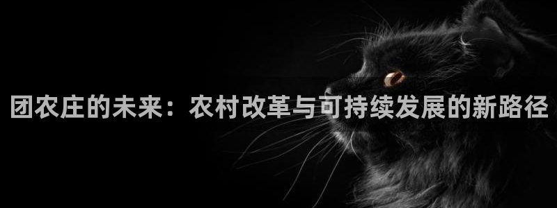 琳琅娱乐在哪直播